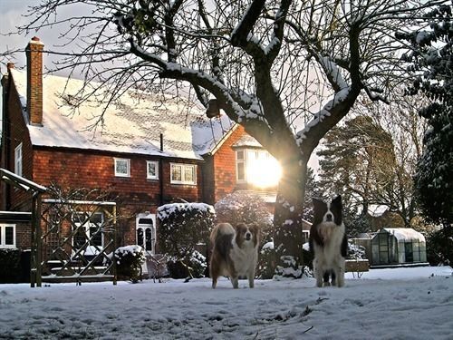 Vulcan Lodge Guest House Horley Exterior photo